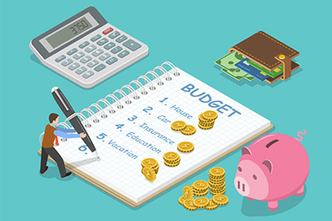 Budget